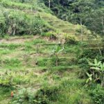 Sumber Air Bersih di SMPN 3 Cikidang dari Bukit, Zetta Menilai Itu Merepotkan