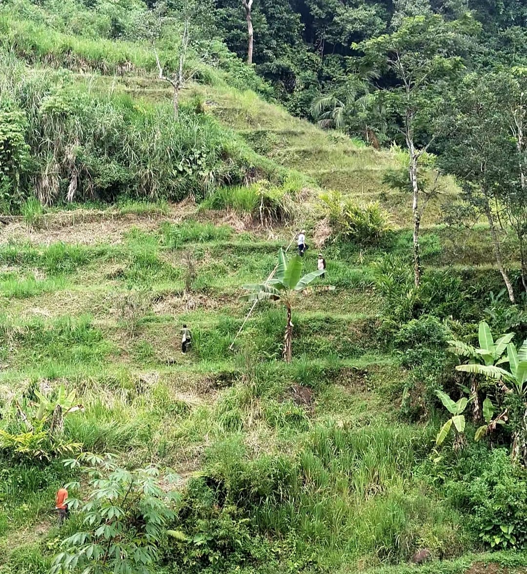 Sumber Air Bersih di SMPN 3 Cikidang dari Bukit, Zetta Menilai Itu Merepotkan