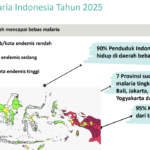 80% Daerah di Indonesia Bebas Malaria